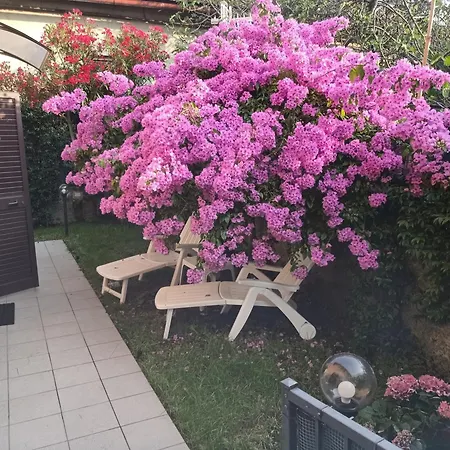 La Chiocciola Апартаменты Специя